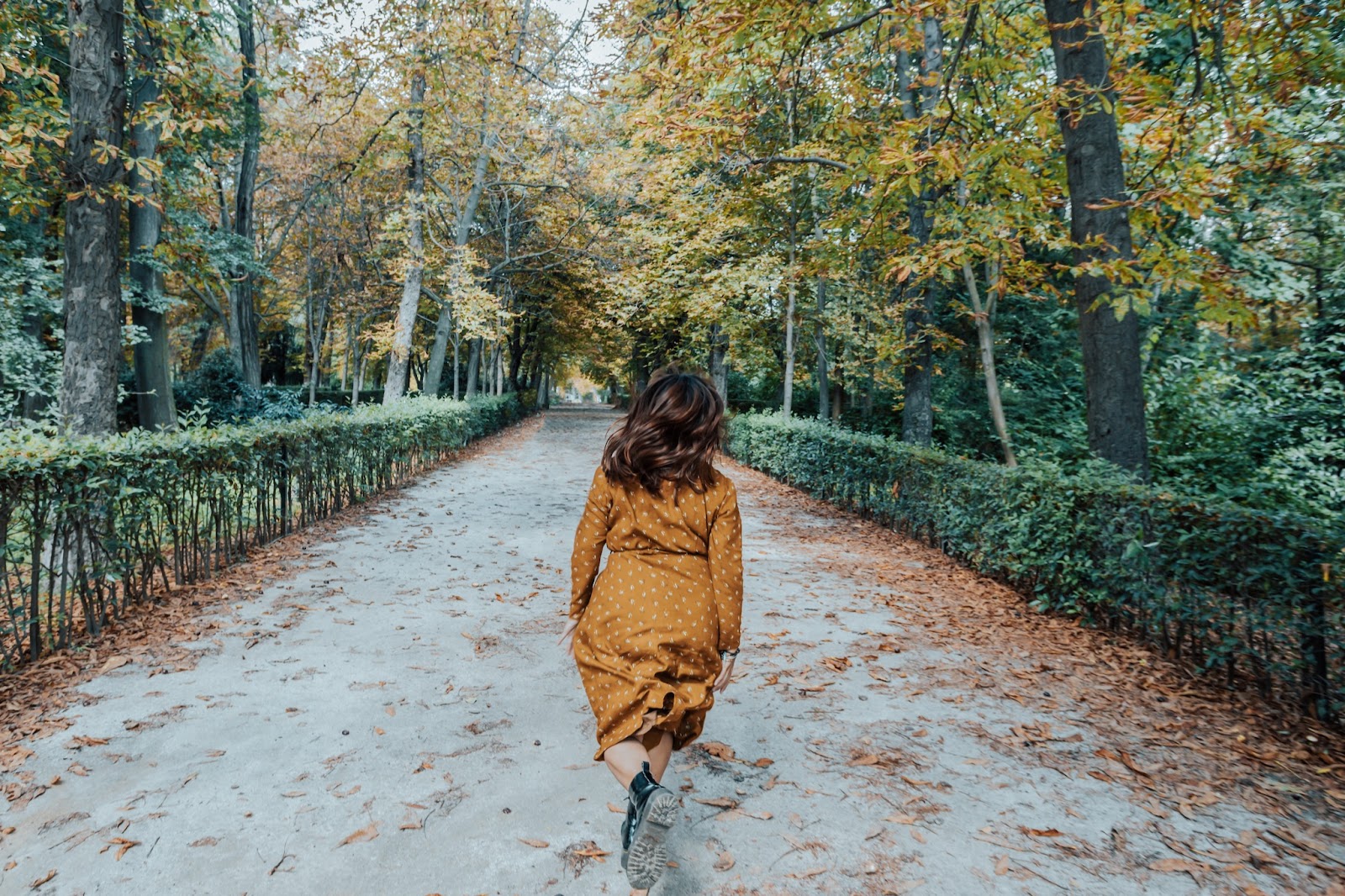 https://marshalldrygoods.com/wp-content/uploads/2024/09/woman-running-down-a-park-route-during-peak-of-fal-2022-02-17-03-57-06-utc.jpg