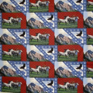 45" Patriots Point Collage