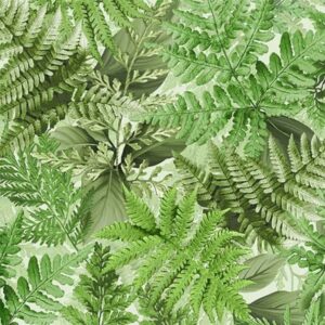 45" Michael Miller Fern Frolic