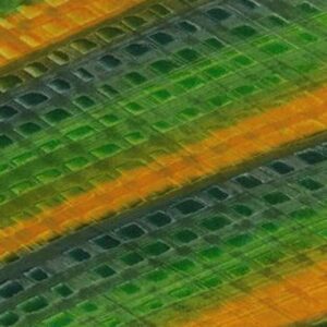 45" Banyan Batiks Color Me