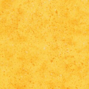 45" Wilmington Prints Essentials