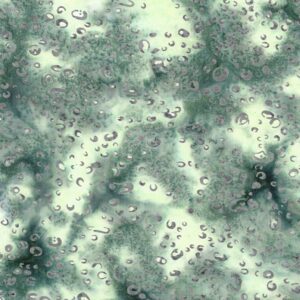 45" Island Batiks Condensation