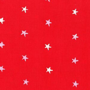 45" Andover Observatory Batik