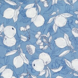 45" RJR Fabrics Ambrosia Farm