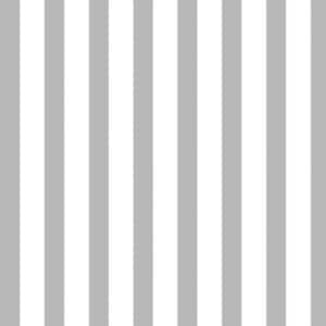 45" Quilting Treasures Dots & Stripes