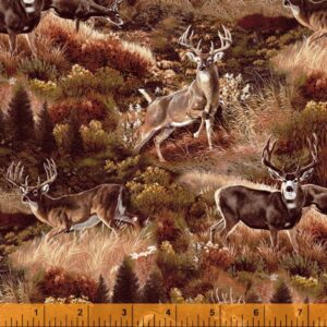 45" Windham Fabrics One Of A Kind