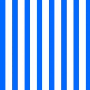 45" Quilting Treasures Dots & Stripes