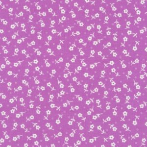 45" Robert Kaufman 1930s Basics