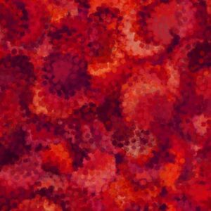 108" Quilting Treasures Serendipity Red