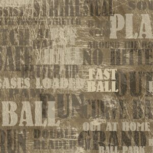 45" Benartex American Pastime Lingo