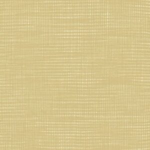 45" Andover Fabrics Compass NorthWoven Cotton