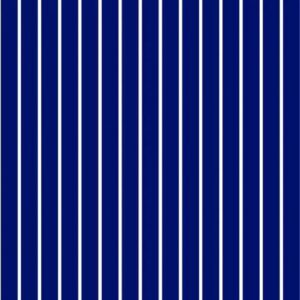 45" Quilting Treasures Dots & Stripes