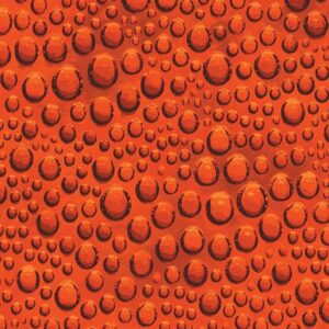 45" Benartex Glass House