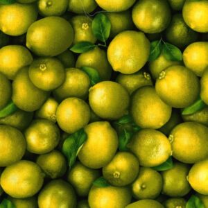 45" Oasis Fabrics Market Place Limes