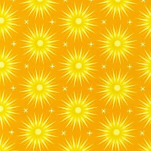 45" Robert Kaufman Planetarium