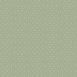 45" Andover Fabrics Compass NorthWoven Cotton