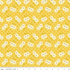 45" Riley Blake Adel In Summer