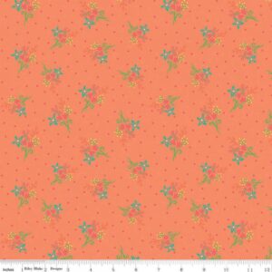 45" Riley Blake Gingham Cottage