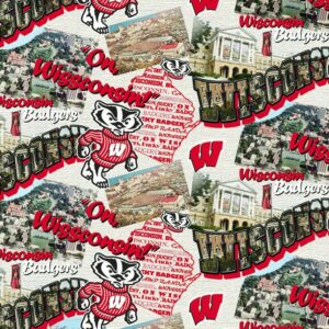 45" University Of Wisconsin Badgers Scenic Map