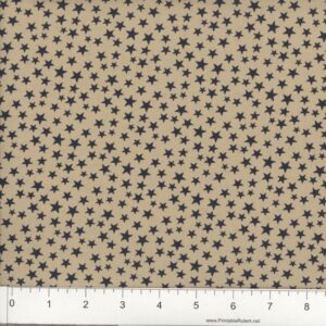 108" Patriotic Wide Back