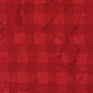 45" Island Batiks Check Cardinal