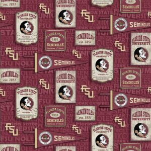 45" Florida State Seminoles