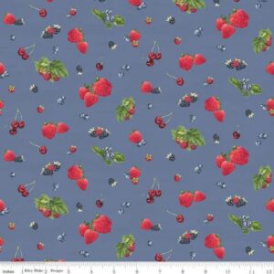 45" Riley Blake Monthly Placemats June Berry Toss