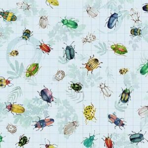 45" Michael Miller Beetles & Bugs