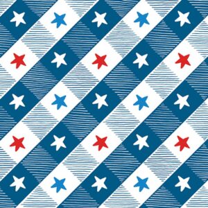 45" Benartex All American Gnomes