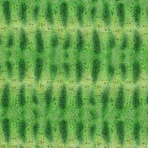 45" Elizabeth's Studio Catalina Island