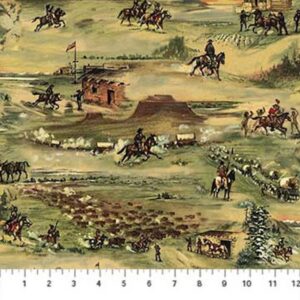 45" Northcott The Pony Express