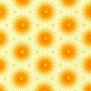 45" Robert Kaufman Planetarium