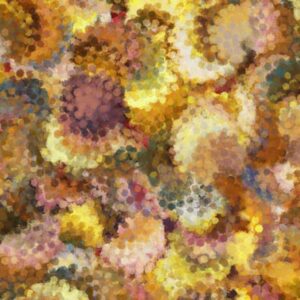 108" Quilting Treasures Serendipity Amber