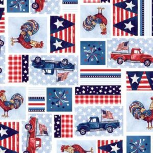 45" Freckle & Lollie By Fabric Traditions Star Spangled