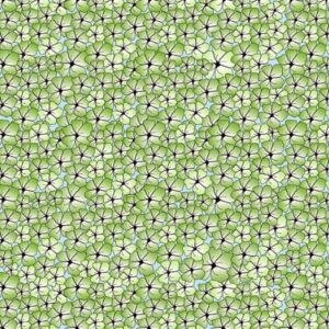 45" Suite B Fabrics Floria