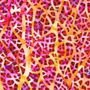 45" P & B Textiles Water Lilly