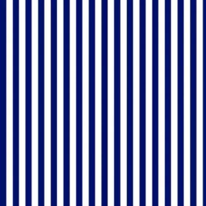 45" Quilting Treasures Dots & Stripes