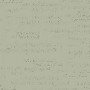 45" Andover Fabrics Aria