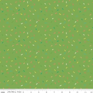 45" Riley Blake Gingham Cottage