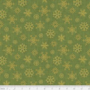 45" P & B Textiles North Pole Express