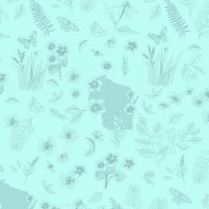 45" Clothworks Flight Of Fancy