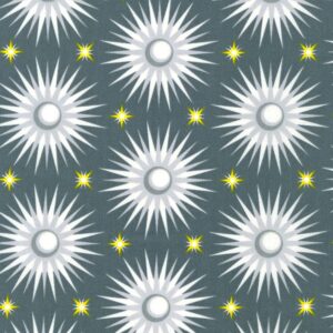 45" Robert Kaufman Planetarium