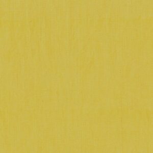 45" Windham Fabrics Hello Gorgeous Solid