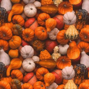 45" Fall Assorted Pumpkins