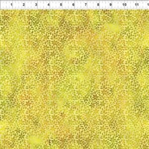 45" In The Beginning Fabrics Rainbow Of