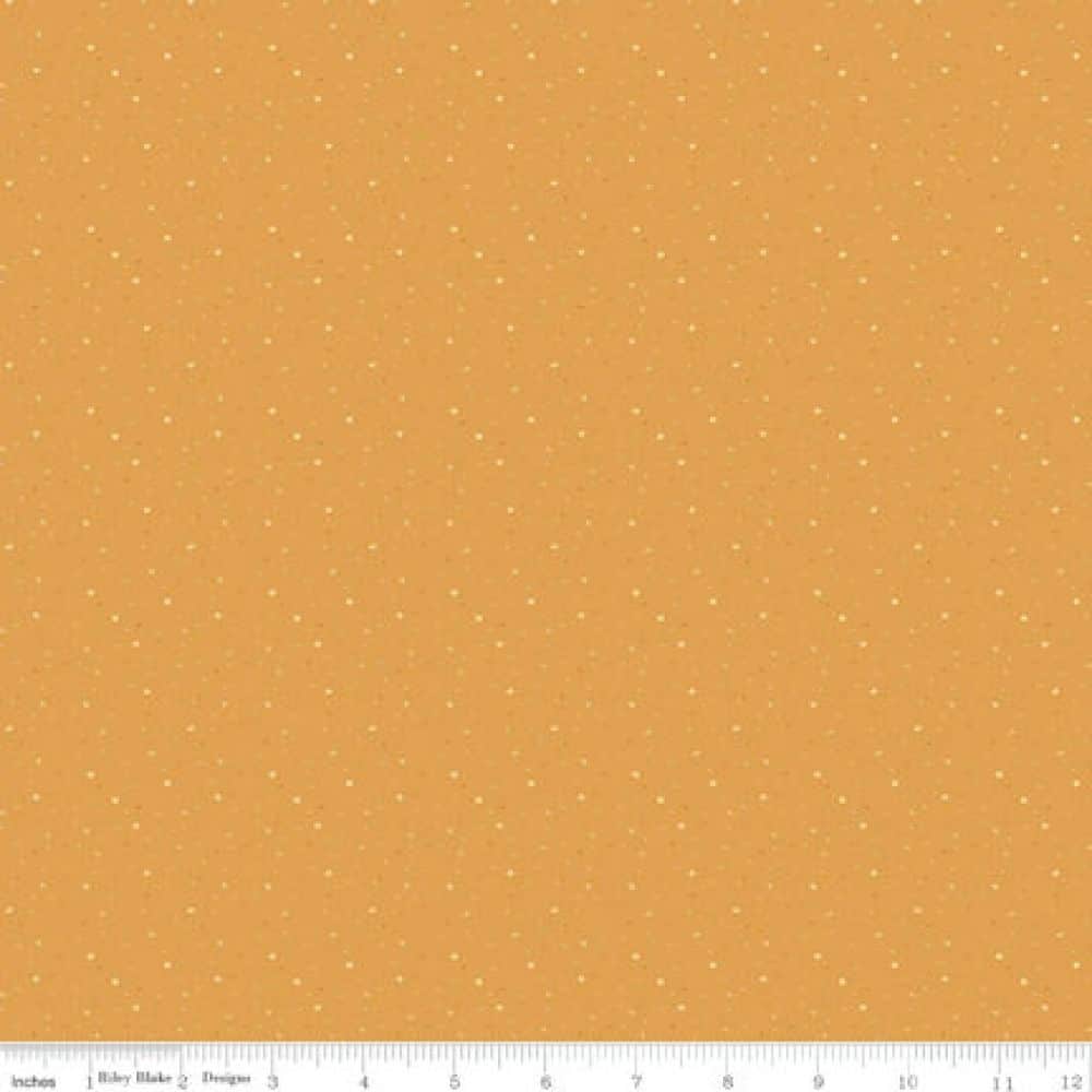 Starlight Riley Blake Pattern 45