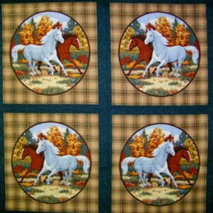 45" HorseshoeBend Pillow Panel