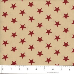 108" Patriotic Wide Back