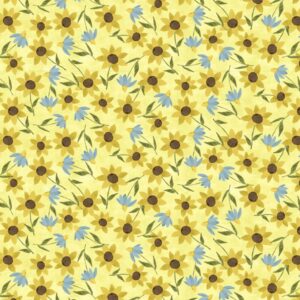 45" 3 Wishes Fabric You Light My Way Gnome