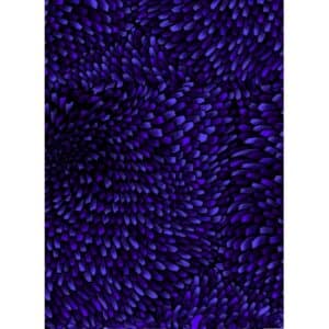 45" RJR Fabrics Aruba Anemone